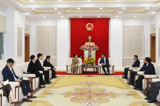 Doanh nghiệp xây dựng hàng đầu Trung Quốc tìm kiếm cơ hội đầu tư loạt dự án tại Quảng Ninh