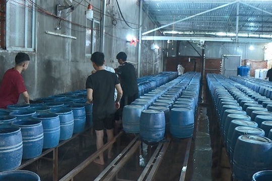 Gần 3000 tấn giá đỗ ngâm chất độc “tung tăng” ngoài thị trường: Cơ quan nào chịu trách nhiệm?