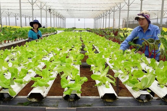 Để Luật Hợp tác xã 2023 đi vào cuộc sống, thúc đẩy kinh tế tập thể phát triển