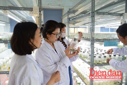 Nghị quyết 57-NQ/TW: “Cởi trói” cho hoạt động khoa học