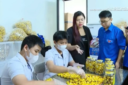 Doanh nhân trẻ Quảng Ninh tiên phong phát triển kinh tế