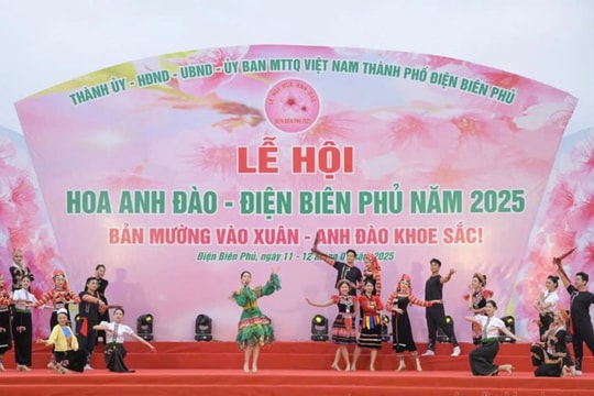 Khai mạc Lễ hội Hoa anh đào - Điện Biên Phủ 2025