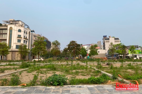 Rộn ràng thị trường đất nền đầu năm