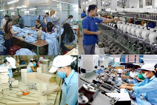 Hoàn thiện thể chế thúc đẩy phát triển doanh nghiệp tư nhân