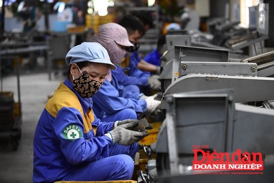 Thúc đẩy khu vực doanh nghiệp tư nhân: Cần tiếp tục cải cách chính sách