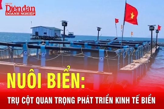 Nuôi biển công nghiệp: Trụ cột quan trọng trong chiến lược phát triển kinh tế thủy sản quốc gia