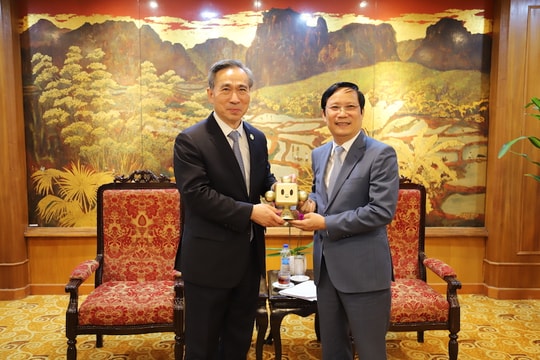 VCCI và CCPIT Trung Quốc thống nhất đẩy mạnh hợp tác trong năm 2025