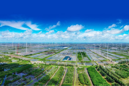 Khung pháp lý cho cơ chế giao dịch trên thị trường tín chỉ carbon