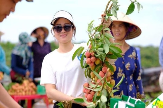 Du lịch liên vùng - hướng đi chiến lược phát triển du lịch Hải Dương