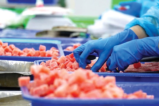 Việt Nam vượt Nhật Bản về xuất khẩu thủy sản vào Singapore