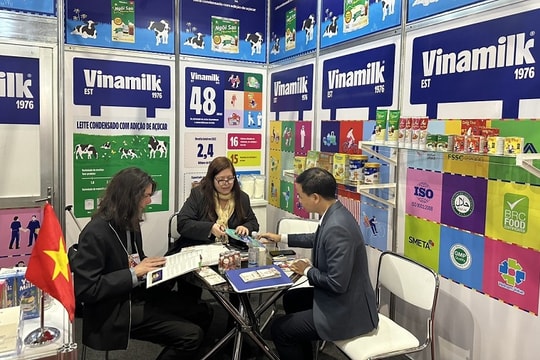 Vinamilk 2024: Doanh thu nước ngoài tăng trưởng 2 chữ số, tiếp tục dẫn đầu thị phần nội địa