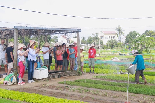 Quảng Nam “thúc” du lịch nông thôn phát triển