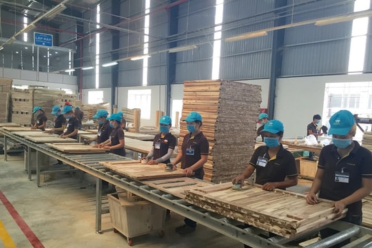 Ngành gỗ ra sao trong năm 2025?