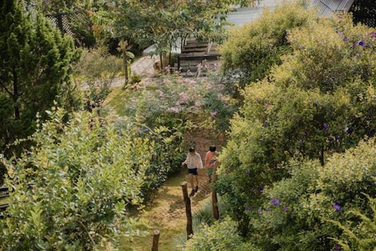 Tiết lộ những điểm đến thịnh hành trong năm 2025