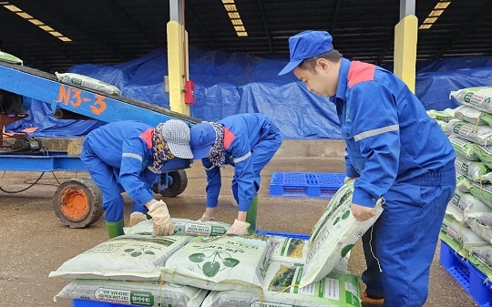 Kỳ vọng từ quyết sách “đúng – trúng” đối với ngành phân bón