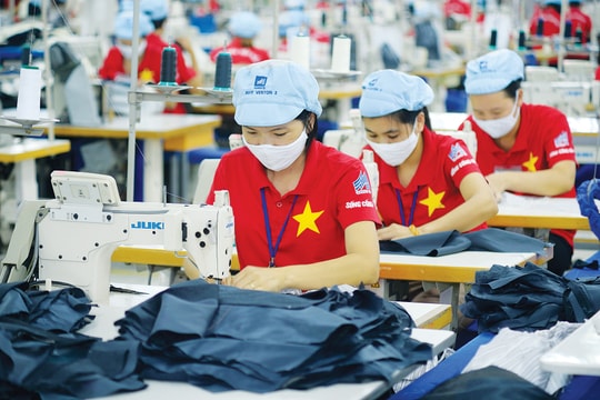 Doanh nghiệp năm 2025 (kỳ 1): Đón đầu tăng trưởng bền vững