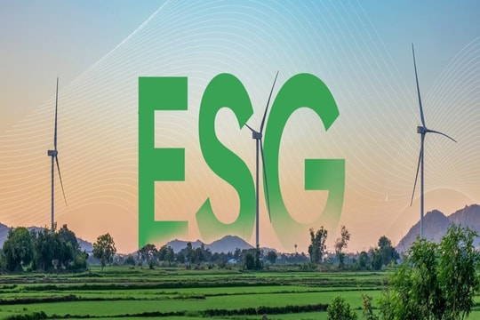 Chính sách nào thúc đẩy ESG ở doanh nghiệp?