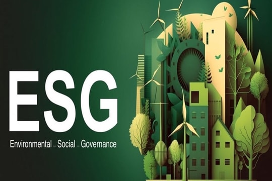 Thực hiện hóa chính sách hỗ trợ để thúc đẩy ESG