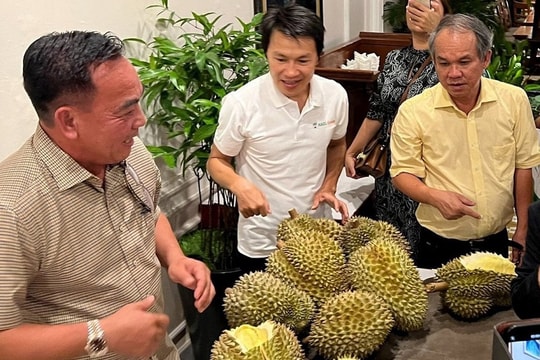 Doanh nghiệp bầu Đức “rơi” hơn 80% lợi nhuận do đâu?