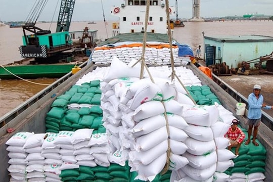 Giá lúa giảm, xuất khẩu chững lại: Hướng đi nào cho hạt gạo Việt?