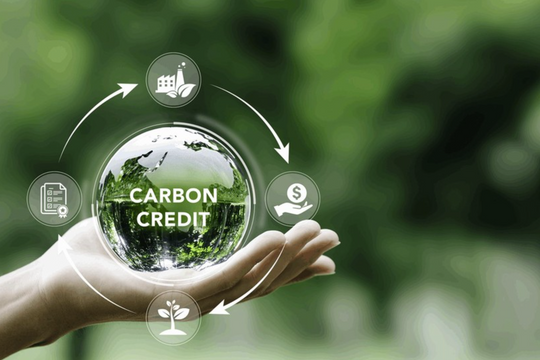 Cơ hội cho doanh nghiệp khi tham gia thị trường tín chỉ carbon