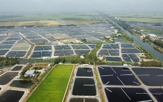 Đề xuất miễn, giảm tiền thuê đất cho các dự án nông nghiệp