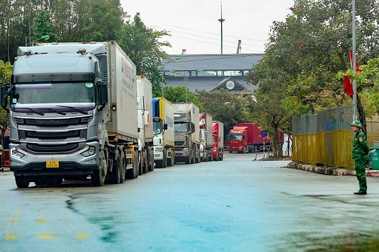 Sầu riêng Việt xuất sang Trung Quốc đã “thoát khó”?