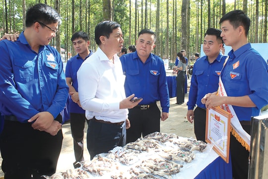 Chính sách và cơ chế tài chính hỗ trợ xử lý vấn đề di cư ngược