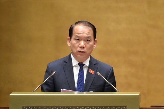 Tiếp tục tổng kết, đánh giá toàn diện việc tổ chức mô hình chính quyền đô thị tại các địa phương