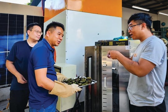 Cơ hội thúc đẩy startup công nghệ khí hậu