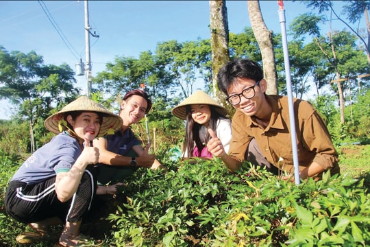 Hệ sinh thái khởi nghiệp ở miền “đất võ”