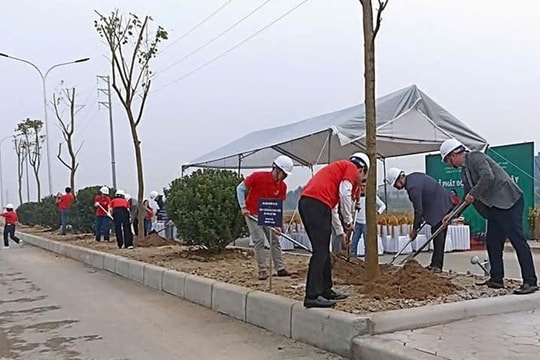 ROX iPark phát động tết trồng cây, hiện thực hóa chiến lược phát triển các KCN xanh, thông minh