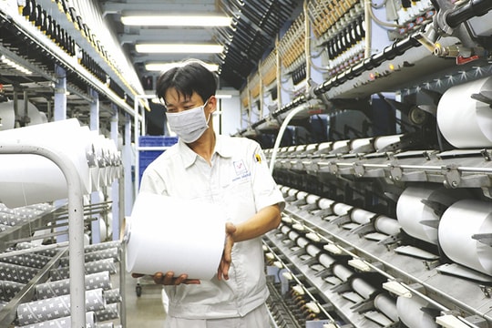 Giải bài toán tự chủ cung ứng nguyên, phụ liệu ngành Dệt may