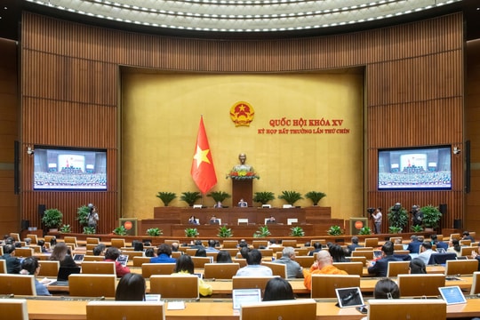 Phát triển đường sắt Việt Nam: Để không lặp lại bài học ngành ô tô