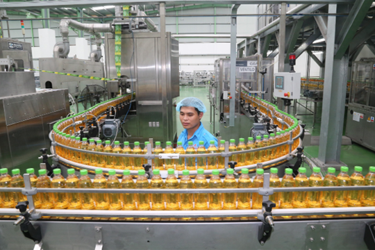 "Bắt tay" với Tập đoàn hàng đầu Châu Á, Tân Hiệp Phát đưa đồ uống chinh phục thị trường quốc tế