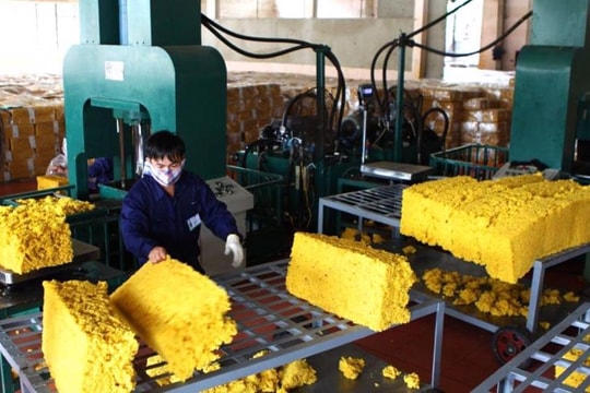 Xuất khẩu cao su năm 2025: "vạn sự khởi đầu nan"
