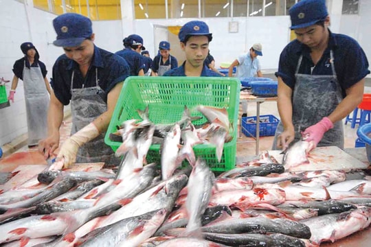 Ứng phó thương chiến (Kỳ 3): Hóa giải thách thức cho Việt Nam