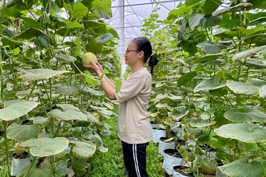 Ứng dụng mạnh mẽ khoa học công nghệ vào sản xuất