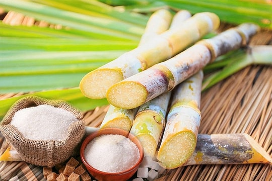 Doanh nghiệp ngành mía đường "bớt ngọt"