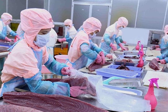 Dư địa tăng trưởng xuất khẩu từ thị trường Anh