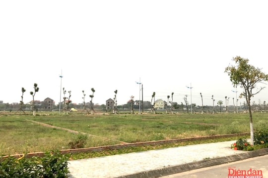 Ngoại thành Hà Nội "tất bật" đấu giá đất