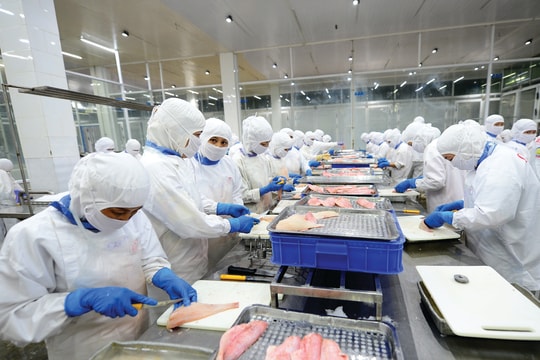 Xuất khẩu thuỷ sản tận dụng cơ hội trong “bão” thuế quan