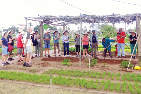 Đưa du lịch về làng