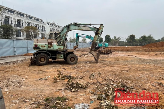 Thủ tướng ra chỉ đạo, giấc mơ an cư của người trẻ đã gần hơn