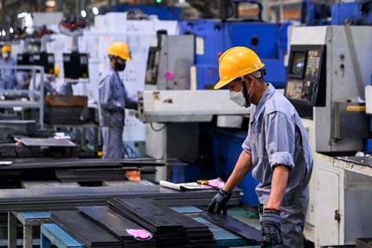 Đẩy mạnh hỗ trợ doanh nghiệp khu vực Tây Nguyên bứt phá năng suất