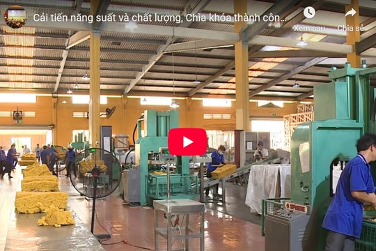 Cải tiến năng suất, chất lượng - chìa khóa thành công cho doanh nghiệp ngành công nghiệp