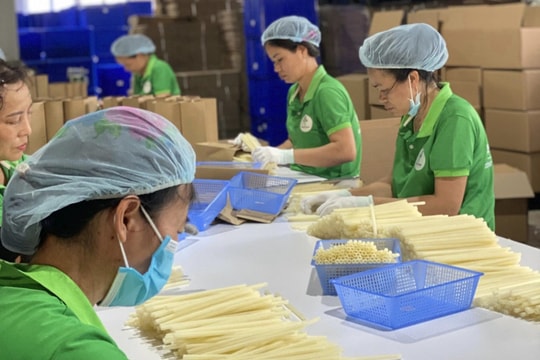 Doanh nghiệp khó tiếp cận ưu đãi cho sản xuất sản phẩm xanh