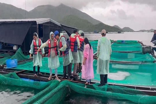 Sẽ có quy chuẩn về nuôi biển công nghiệp