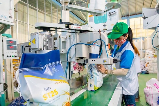 "Trật tự mới" trong kinh doanh xuất khẩu gạo