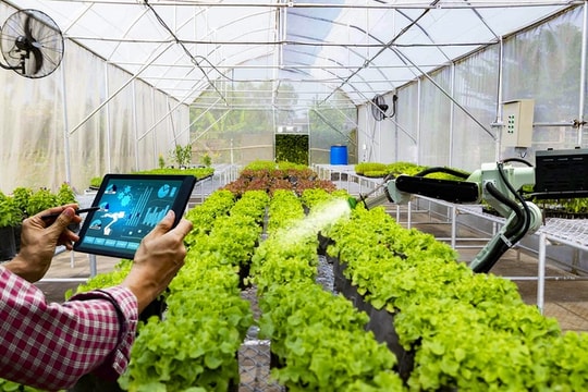 Đột phá cơ chế để thu hút đầu tư vào nông nghiệp thông minh